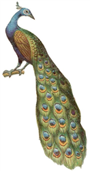 MEMBER02 Q. MEMBER02, III CFP<sup>&reg;</sup>